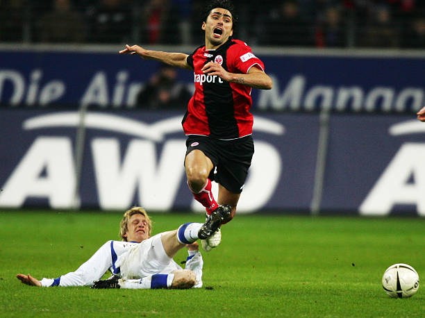 让整个内容 让整个内容